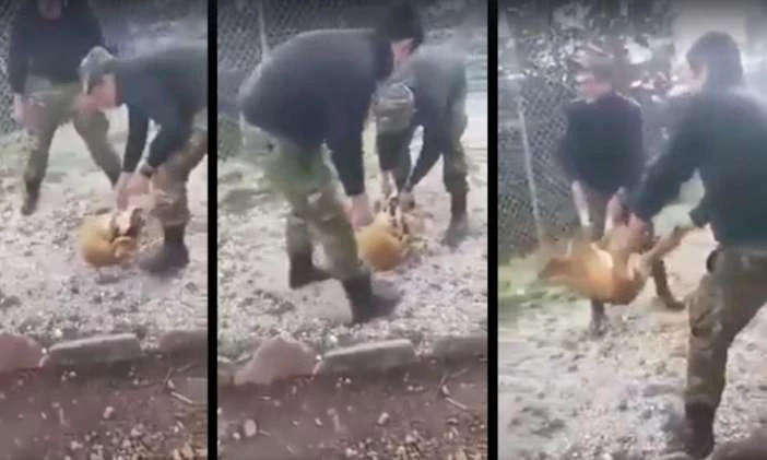 Τι δηλώνουν οι νεαροί με το περιστατικό με τον σκύλο στο στρατόπεδο